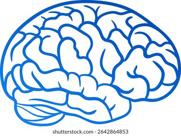 Human brain in lateral view. Blue gradient line simplified drawing of brain anatomy. Vector element for Science Projects, Healthcare Infographics and Academic Use