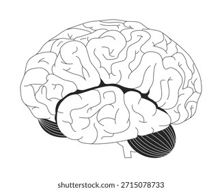 Ilustração do contorno da visão lateral do cérebro humano. Órgão interno. Função cognitiva. Dobras cerebrais, lobos e objeto de linha 2D da anatomia do cerebelo isolado no branco. Imagem linear de tinta vetorial monocromática