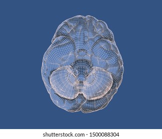 Human brain with light 3D wireframe under bottom camera view overlay on engraving drawing illustration isolated on deep blue background
