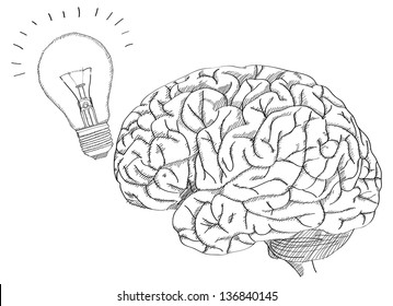 Human Brain with Light Bulb for Think Idea Concept Vector Outline Sketched Up, Vector Illustration EPS 10.