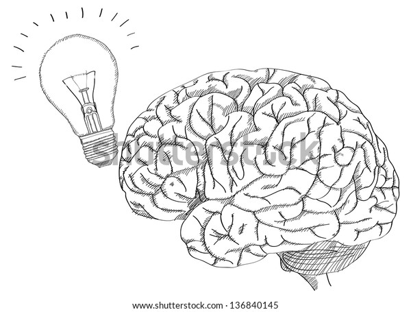 Human Brain Light Bulb Think Idea Stock Vector (Royalty Free) 136840145