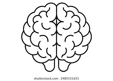 Human brain line art design illustration cerebral structure