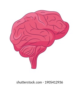 Ilustración vectorial de la línea del cerebro humano, pictograma de estilo lineal de color 