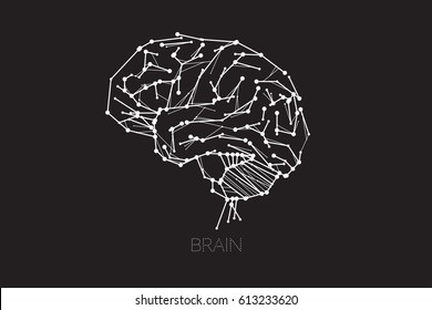 Human brain line dot design concept. vector illustration