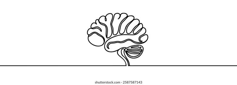 Human Brain line drawn Icon symbol vector illustration isolated on white background