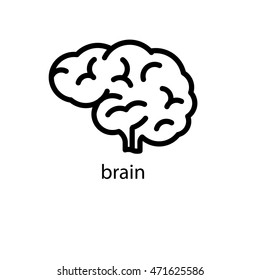 Human Brain Line Icon