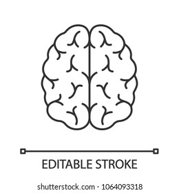 Human Brain Linear Icon. Thin Line Illustration. Nervous System Organ. Contour Symbol. Vector Isolated Outline Drawing. Editable Stroke