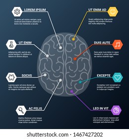 Human brain lobes, anatomy structure, infographic. Functions of the mind, intelligence, logic, memory, behaviour, learning, emotions. Psychology concept