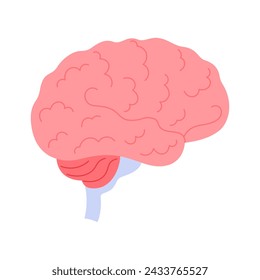 Human brain, medical chart to study function and structure of central nervous system vector illustration
