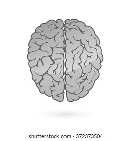 Human brain for medical design 