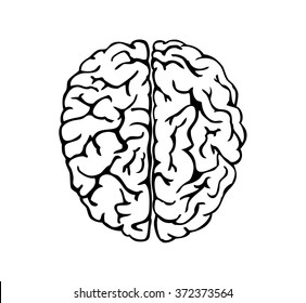 Human brain for medical design 