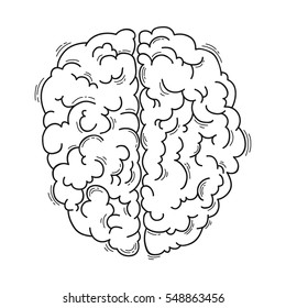 Human brain for medical design