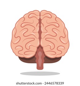 Vector de ilustración de ícono de vista frontal médica del cerebro humano