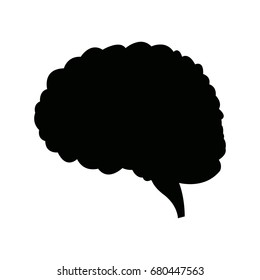 human brain for medical healthy memory anatomy design