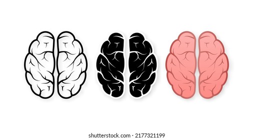 Human brain medical. Internal organ. Neural network. Brainstorming, idea.