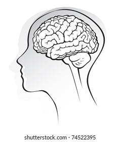human brain medical schematic simplified illustration on white