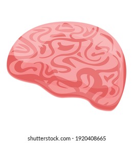 Human brain memory icon. Cartoon of human brain memory vector icon for web design isolated on white background