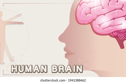 Ilustración de la cabeza de la mente del cerebro humano con cara de mujer, tecnología ciencia médica moderna
