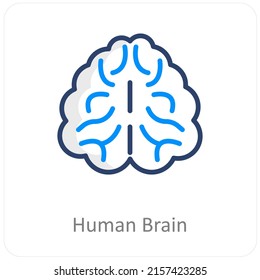 Human Brain And Mind Icon Concept