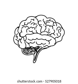 Human brain mind icon vector illustration graphic design