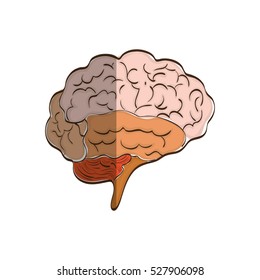 Human brain mind icon vector illustration graphic design