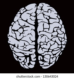 human brain model. eps10 vector illustration