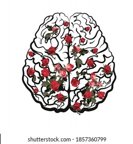 Human brain neocortex scheme top view with pink roses