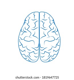 El cerebro humano, el sistema nervioso. Órganos humanos internos. Vector lineal