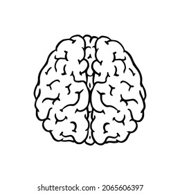 Human Brain. Nervous System. Retro Vector Illustration For Woodcut Or Print. Hand Drawn Sketch.