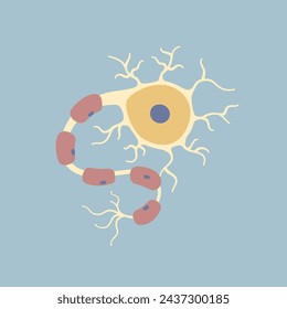 Célula nerviosa neuronal del cerebro humano. Sinapsis, vaina de mielina, cuerpo celular, núcleo, axón y dendritas. Neurología, ilustración vectorial de dibujos animados de diseño plano clip art