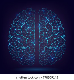 The human brain, neurons and axons