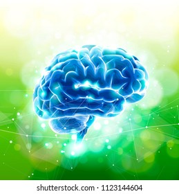 Human brain on a green technological background surrounded by information fields, neural networks, Internet webs - the concept of modern technology, biotechnology, artificial intelligence. Vector draw
