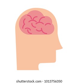 Human brain on head