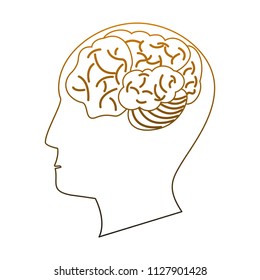 Human brain on head in yellow lines