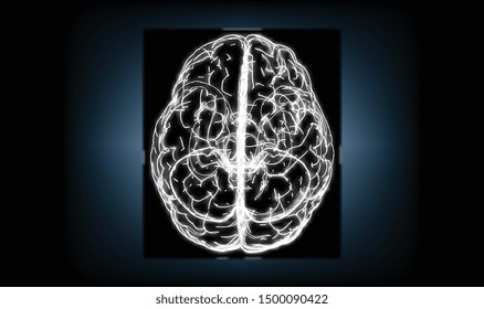 Human brain on top view vector line edge monochrome negative doodling drawing with xray style isolated on dark background