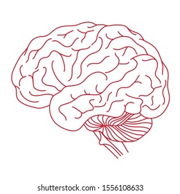 Human Brain on the White Background. Hand Drawn. Free Hand. Vector Illustration.