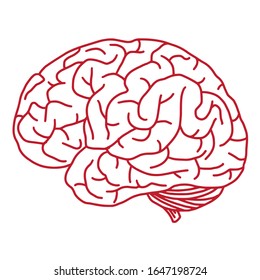 Human Brain on the White Background. Hand Drawn. Free Hand. Vector Illustration. digital printing.