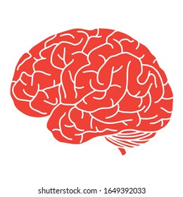 Human Brain on the White Background. Hand Drawn. Free Hand. Vector Illustration. digital printing.