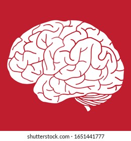 Human Brain on the White Background. Hand Drawn. Free Hand. Vector Illustration. digital printing.