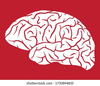 Human Brain on the White Background. Hand Drawn. Free Hand. Vector Illustration. digital printing.