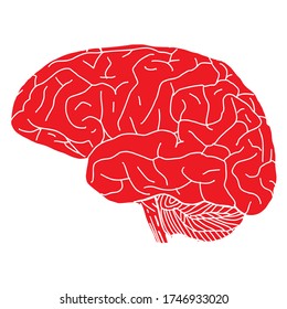 Human Brain on the White Background. Hand Drawn. Free Hand. Vector Illustration. digital printing.