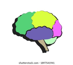Human brain on a white background. Areas of the brain. Cartoon. Vector illustration.