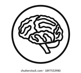 Human brain on a white background. Brain gyrus. Vector illustration.