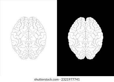 Human brain on white background and black background