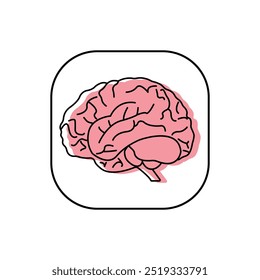 Human brain on a white background. Vector illustration