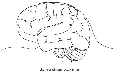 El cerebro humano una línea sobre un fondo blanco. Ilustración bursátil de la mente, el conocimiento y la imaginación.