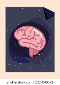 human brain organ