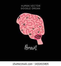 Human Brain organ cartoon vector isolated design. Iillustration in funny doodle style. Clipart drawing for medicine poster, print, banner, brochure.
