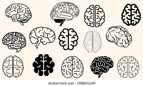Human brain organ design, Human brain vector, brain symbol isolated on white background, Side view. Central nervous system, Brains Icon, Human brain icon, simple design, black outline design on white
