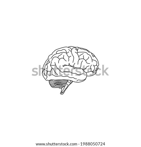 Human brain organ design, Human brain vector, brain symbol isolated on white background, Side view. Central nervous system, Brains Icon, Human brain icon, simple design, black outline design on white